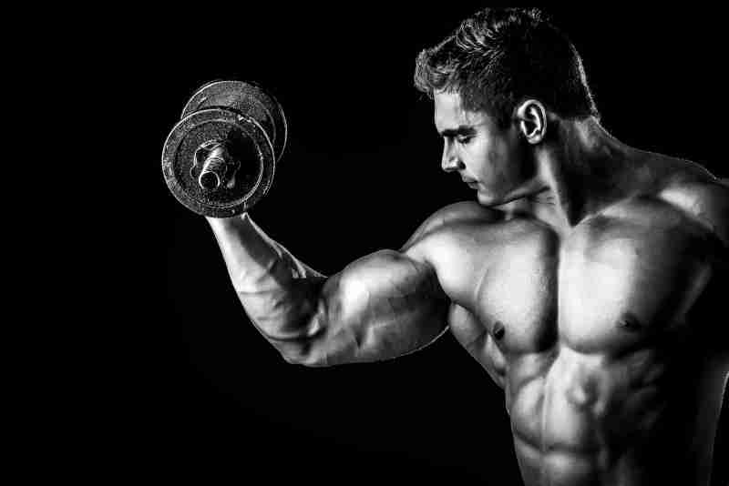 biceps size of bodybuilders