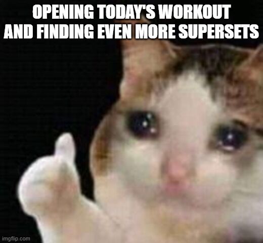 Approving crying cat discovering supersets in Fitbod workout