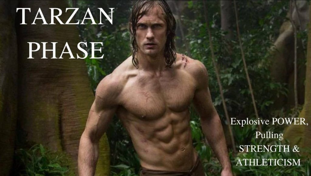 movie star body tarzan training phase