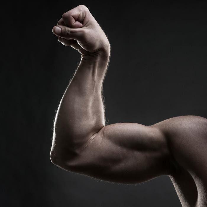 muscular arms and forearm