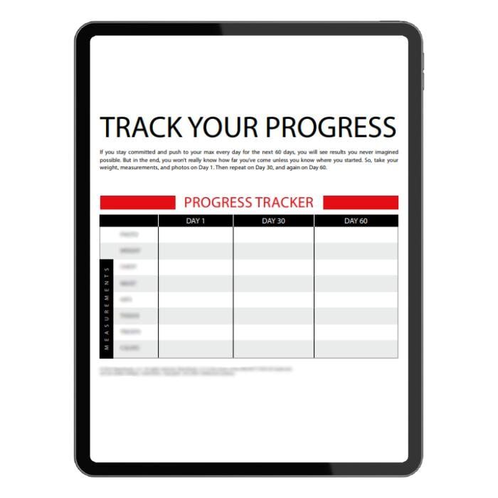 insanity max 30 progress tracker