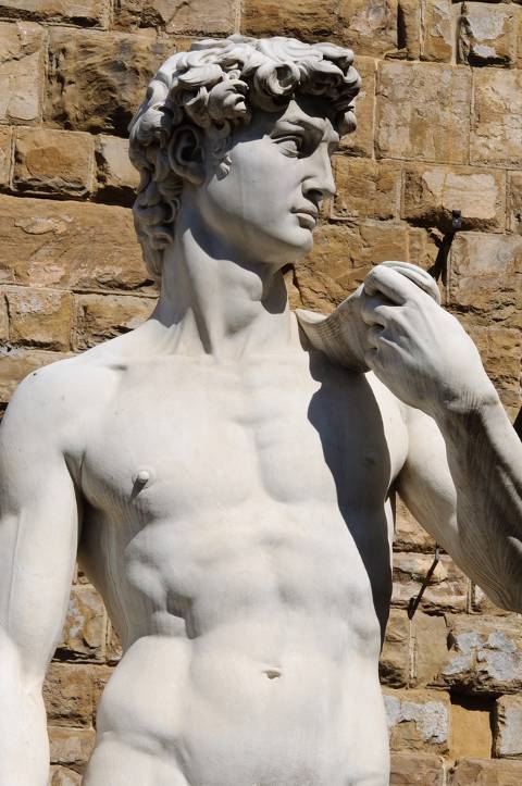 The Grecian ideal statue of David